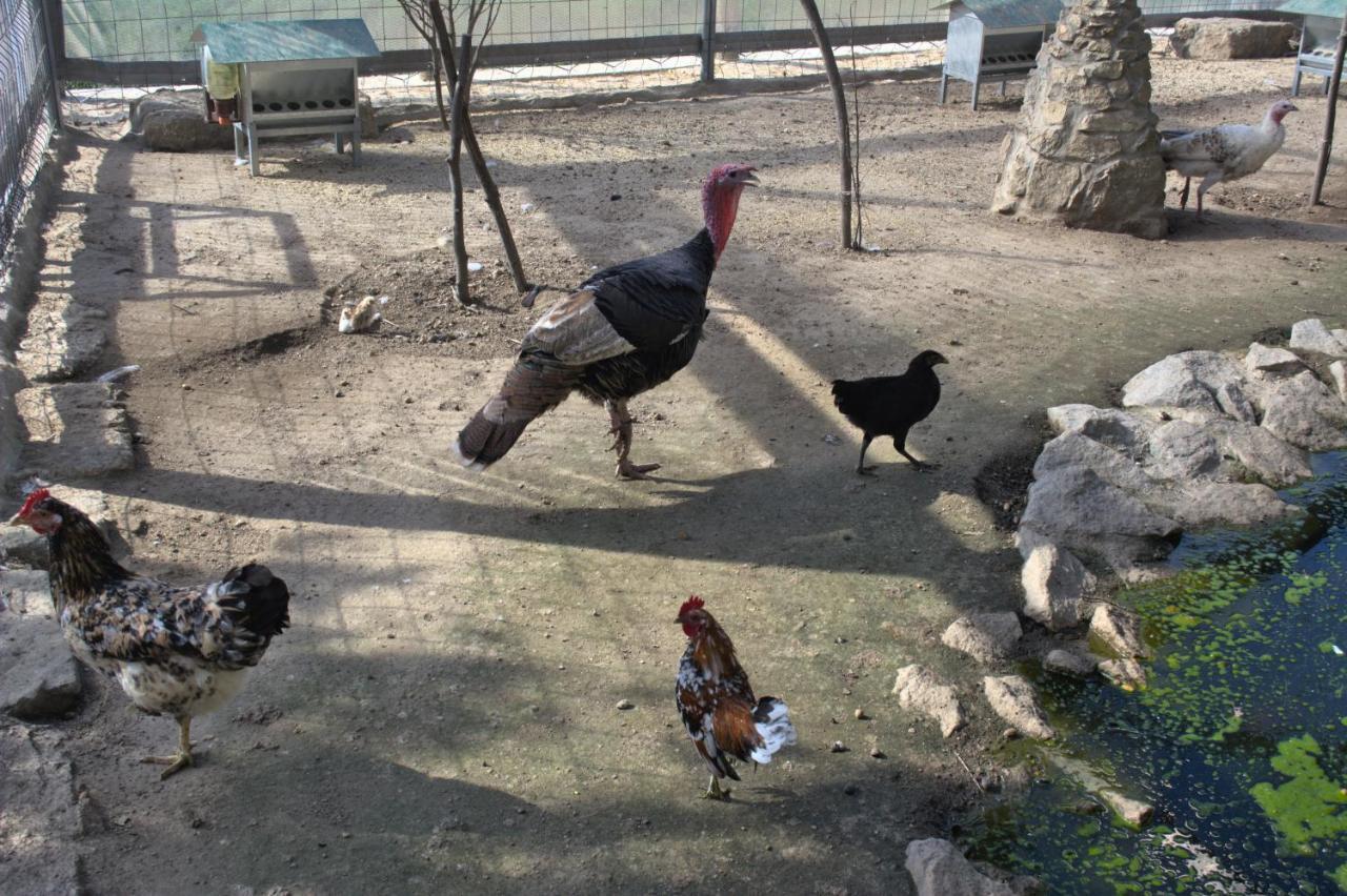 Quinta Dos Lagos Marco de Canavezes Εξωτερικό φωτογραφία